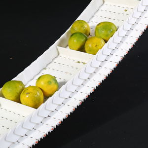 bande de convoyeur modulaire