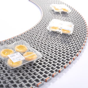 bande de convoyeur modulaire