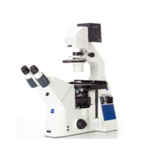 microscope optique