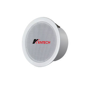 haut-parleur de plafond