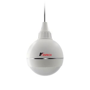 haut-parleur de plafond 1