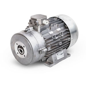 moteur asynchrone