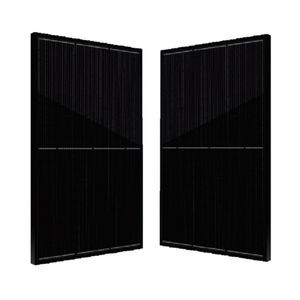 module PV en silicium monocristallin 1