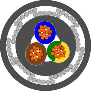 câble électrique d'alimentation 1