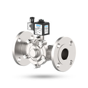 Électrovanne Haute Pression 1/2" En Acier Inoxydable - 100 Bar, 24V DC, Résiste à -60°C à 120°C - U.S. Solid