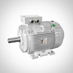 moteur IE2