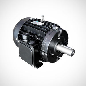 moteur synchrone 1