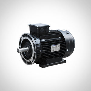 moteur à induction 1