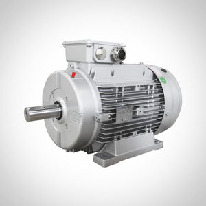moteur à induction 1