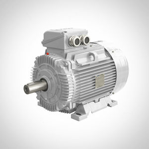 moteur asynchrone 1