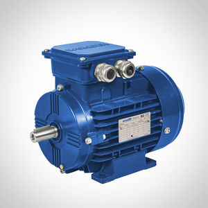 moteur à induction