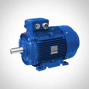 moteur pour pompe 1