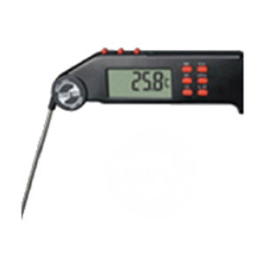 thermomètre numérique 1