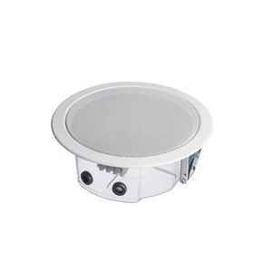 haut-parleur de plafond 1