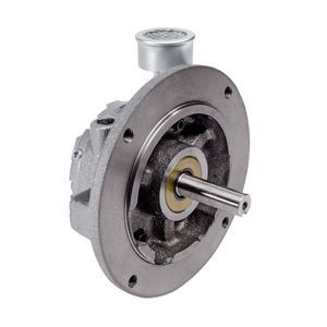 moteur pneumatique à palettes 1
