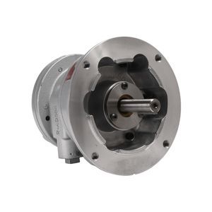 moteur pneumatique à palettes 1