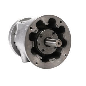 moteur pneumatique à palettes 1