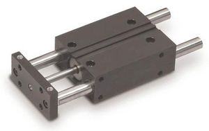 vérin pneumatique / à tige de piston guidée / double effet / standard
