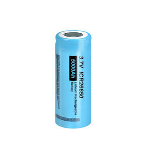 pile rechargeable Li-ion