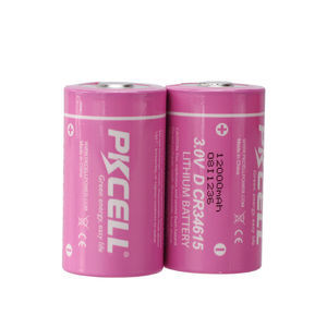 batterie lithium-dioxyde de manganèse