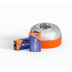 batterie alcaline