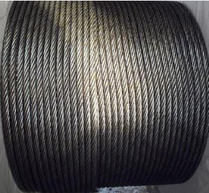 corde dynamique