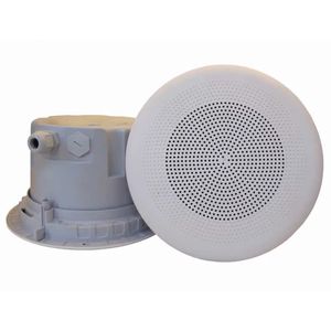 haut-parleur de plafond