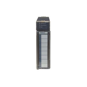 module E/S analogique