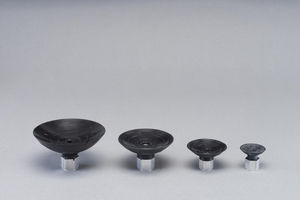 ventouse plate