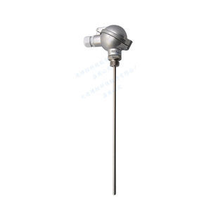 sonde de température RTD