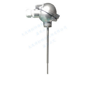 sonde de température RTD