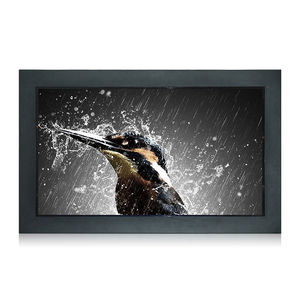 moniteur LCD