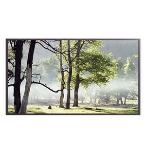 moniteur LCD / rétroéclairage à LED / numérique / 55
