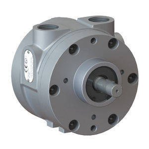 moteur pneumatique à palettes