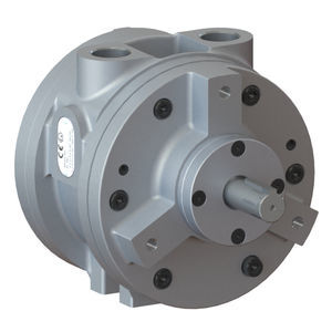 moteur pneumatique à palettes