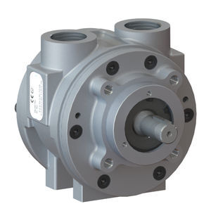 moteur pneumatique à palettes