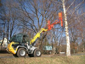 tête coupe-branche pour chariot télescopique