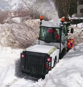 fraise à neige