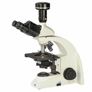 microscope optique