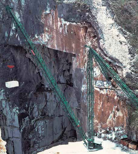 Grue fixe - Pellegrini - derrick / de levage