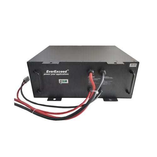Batterie lithium fer phosphate - EverExceed Industrial Co. Ltd - de bloc / cylindrique / prismatique