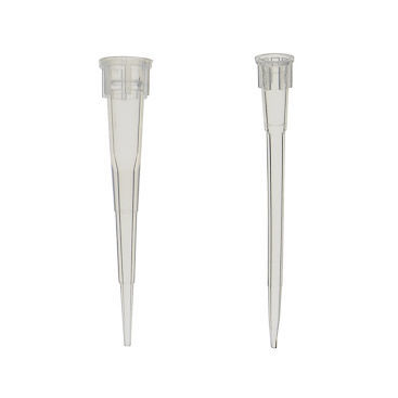 Pointe de pipette - TIPP series - LABBOX LABWARE S.L.