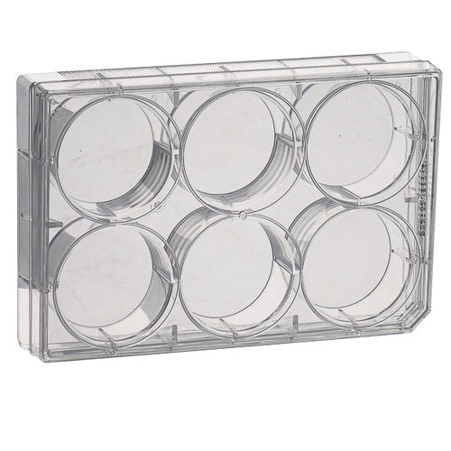 Microplaque pour culture cellulaire - CCPP series - LABBOX LABWARE S.L. - à 96 puits / à 24 puits / à 12 puits