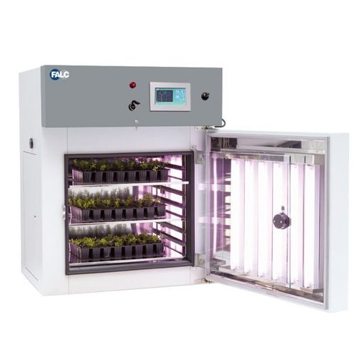 Chambre de croissance pour les plantes - GVD-H 350 - FALC Instruments S.r.l. - à insectes
