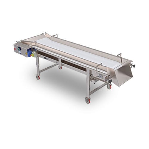 Table de tri pour raisins - TS 800  - F.lli Marchisio & C. s.p.a. - pour l'industrie alimentaire
