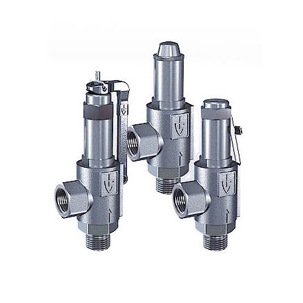 Soupape de sécurité pour vapeur - 461 series - Goetze KG - pour gaz / pour air comprimé / filetée