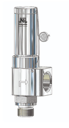 Soupape de sécurité à gaz - Type 50 - Niezgodka GmbH - pour vapeur / huile / compacte
