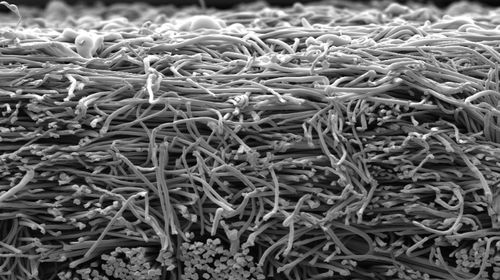 Matériau filtrant en microfibre - MPS® - BWF Envirotec - de poussière