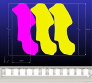 Logiciel d'imbrication - BLANKNEST - FTI Forming Technologies Incorporated - de process