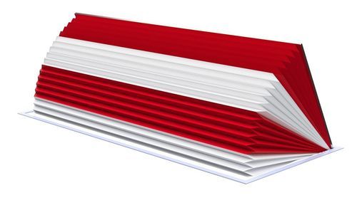 Borne escamotable automatique - RB90-C65 - La Barrière Automatique - hydraulique / road-blocker / anti-intrusion